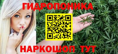 шишки Кулебаки
