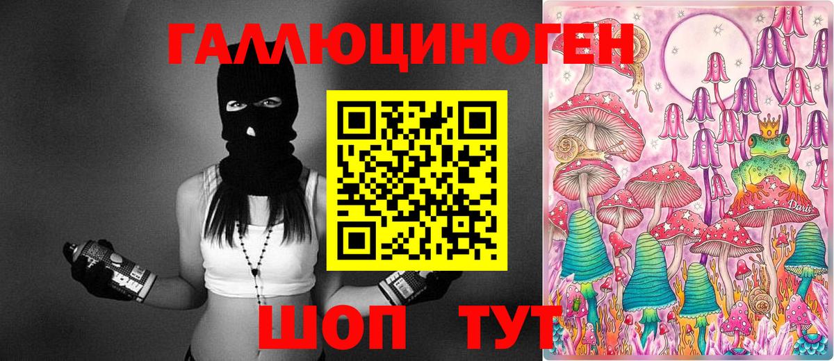 Галлюциногенные грибы Psilocybine cubensis Йошкар-Ола